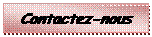 Zone de Texte: Contactez-nous 
